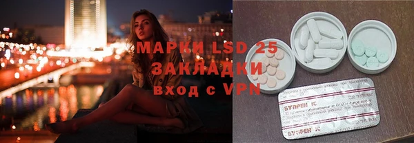 стаф Дмитров
