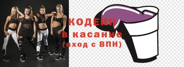 стаф Дмитров