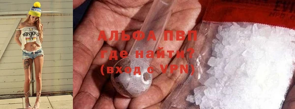 стаф Дмитров