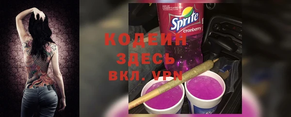 стаф Дмитров