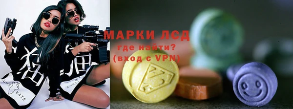 стаф Дмитровск