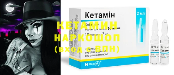 стаф Дмитров