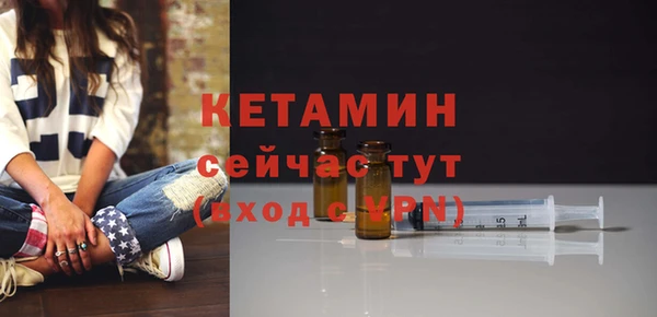 стаф Дмитров