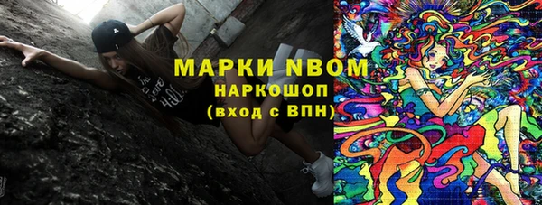 стаф Дмитровск