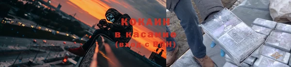 стаф Дмитров