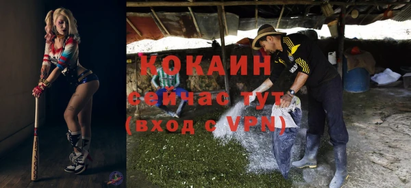 стаф Дмитров