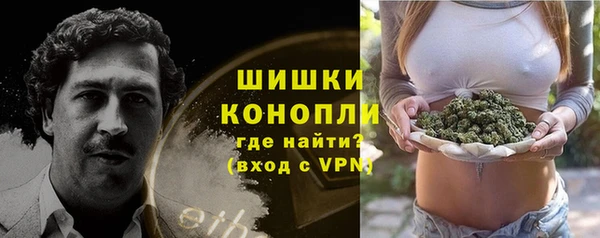 гидра Протвино