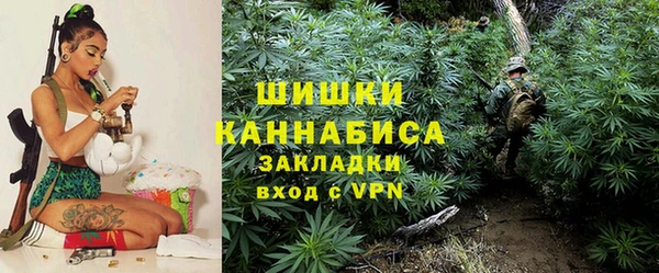 стаф Дмитров