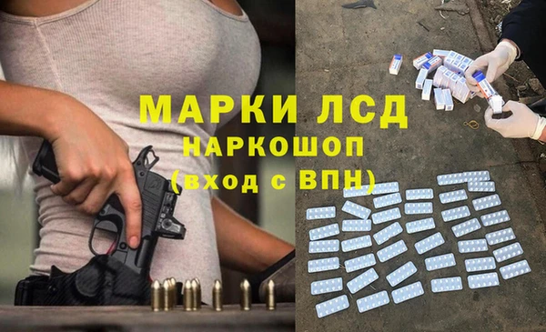 стаф Дмитров