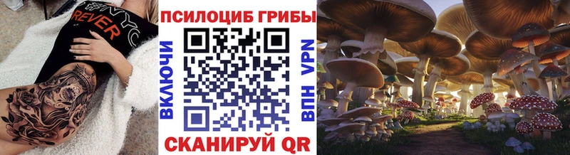 Галлюциногенные грибы мицелий  Купить  Коркино 